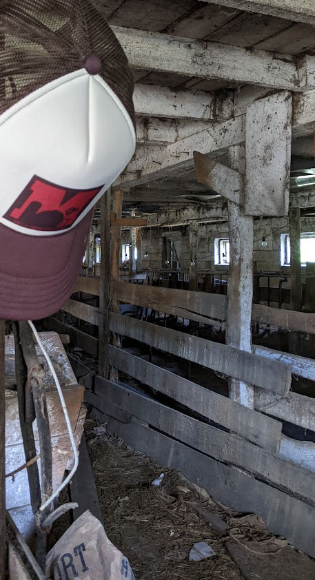 Background of dairy barn