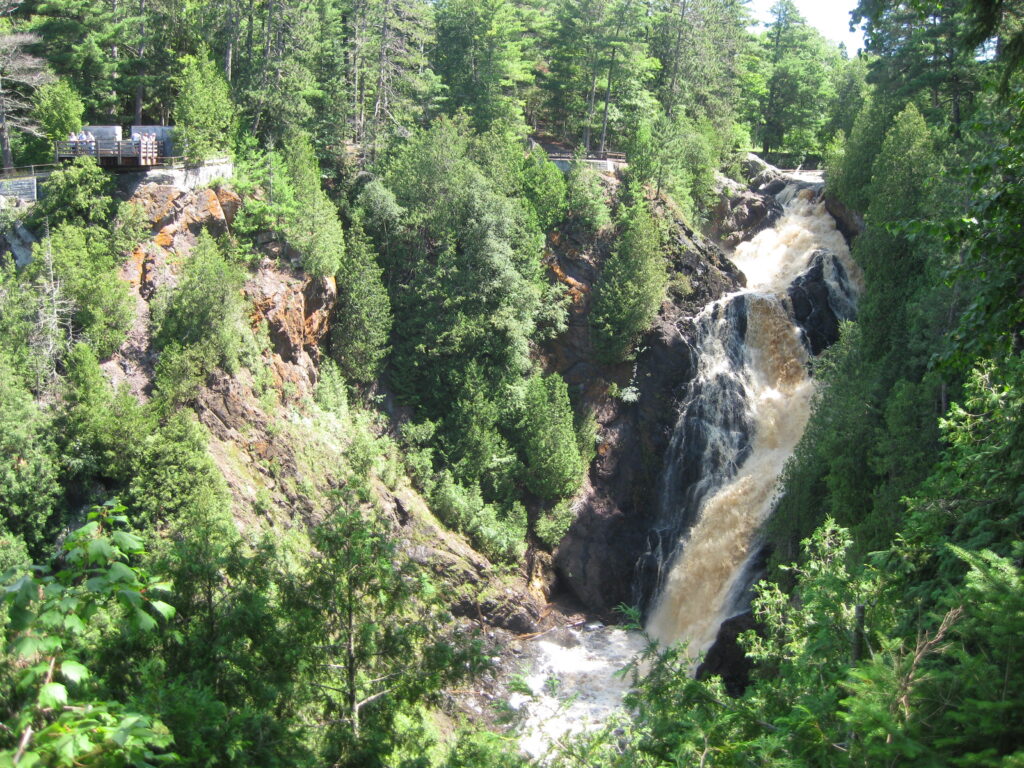 Background of waterfall and woods with lots of pine trees